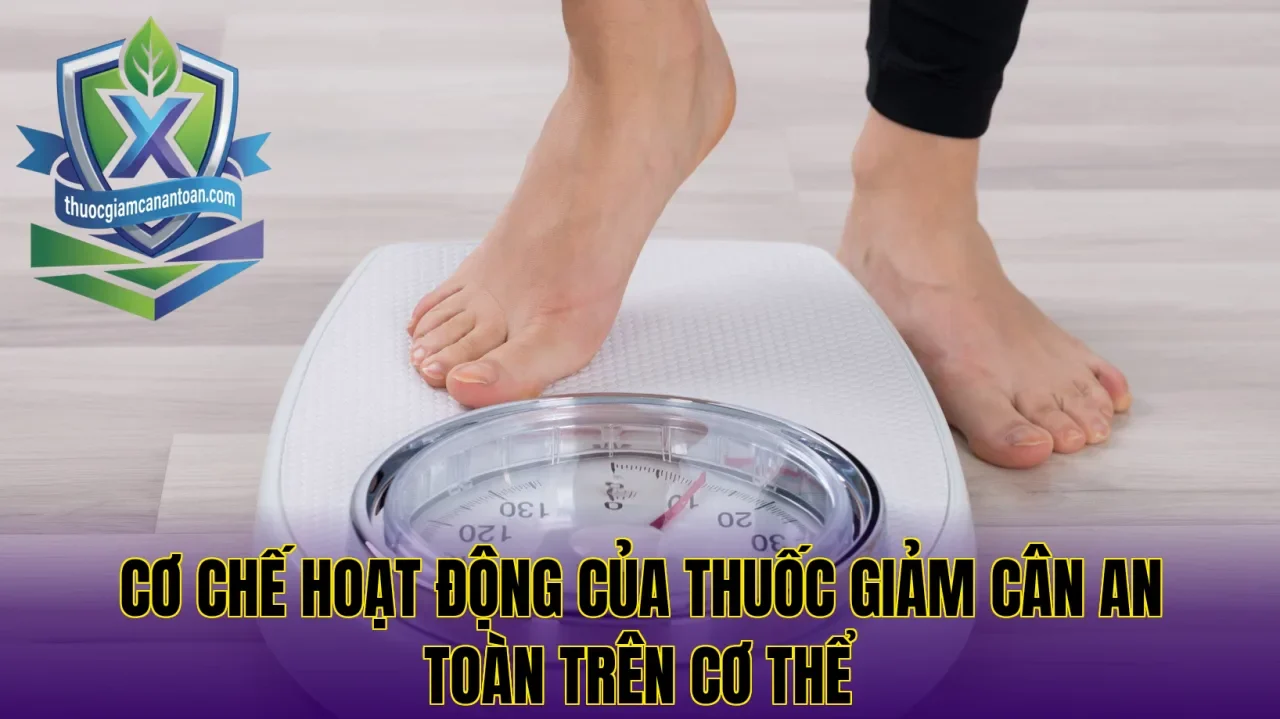 Cơ chế hoạt động của thuốc giảm cân an toàn trên cơ thể