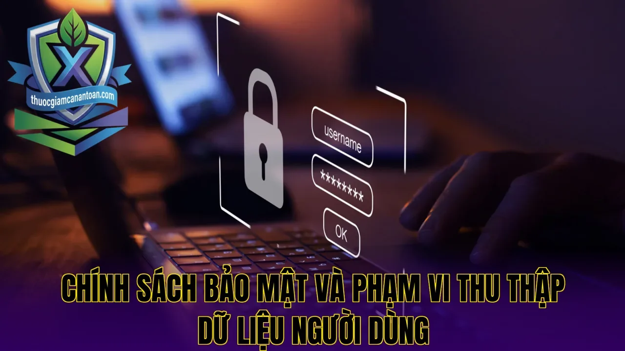 Chính sách bảo mật và phạm vi thu thập dữ liệu người dùng
