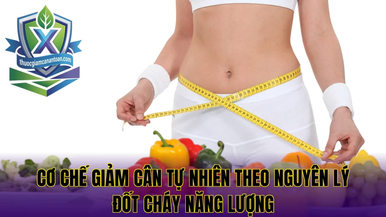 Cơ chế giảm cân tự nhiên theo nguyên lý đốt cháy năng lượng