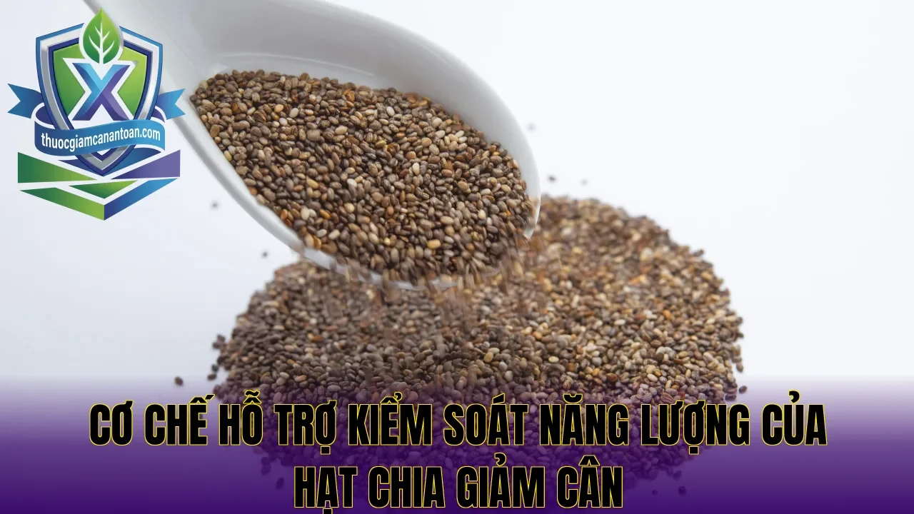 Cơ chế hỗ trợ kiểm soát năng lượng của hạt chia giảm cân