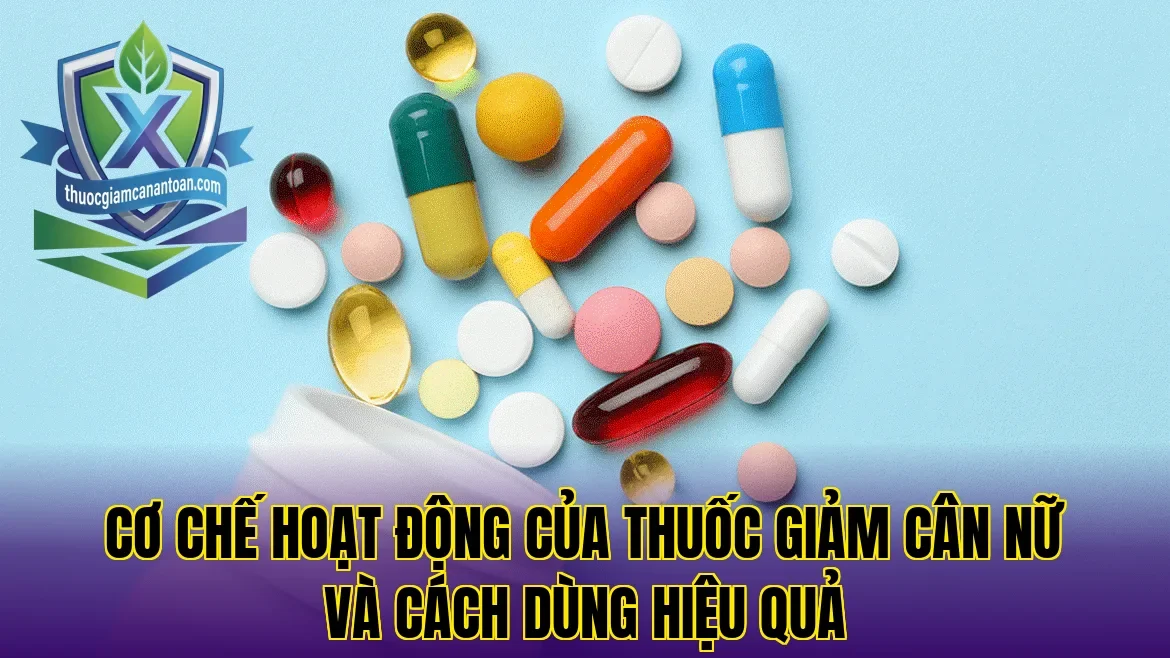 Cơ chế hoạt động của thuốc giảm cân nữ và cách dùng hiệu quả