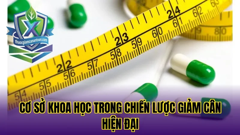 Cơ sở khoa học trong chiến lược giảm cân hiện đại