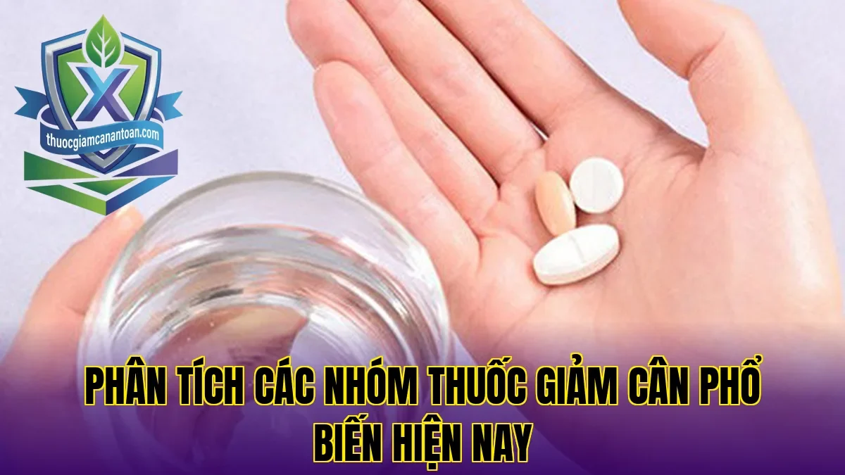 Phân tích các nhóm thuốc giảm cân phổ biến hiện nay
