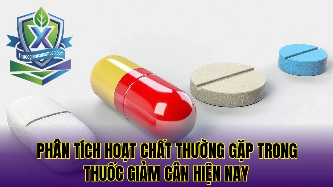 Phân tích hoạt chất thường gặp trong thuốc giảm cân hiện nay