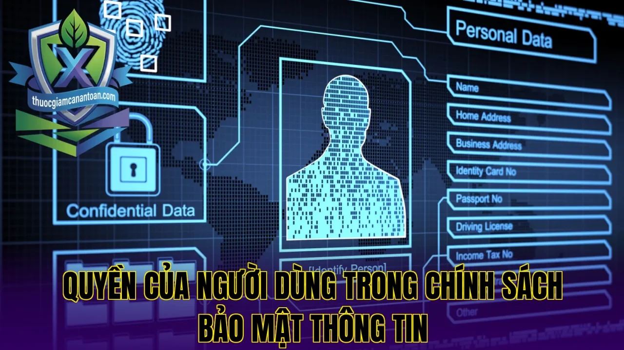 Quyền của người dùng trong chính sách bảo mật thông tin